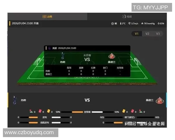 数据揭示:世界杯本赛季表现起伏不定